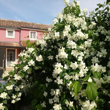 Arsini - Sa 3 Sobe Za Do 6 Osoba, - Dracevac